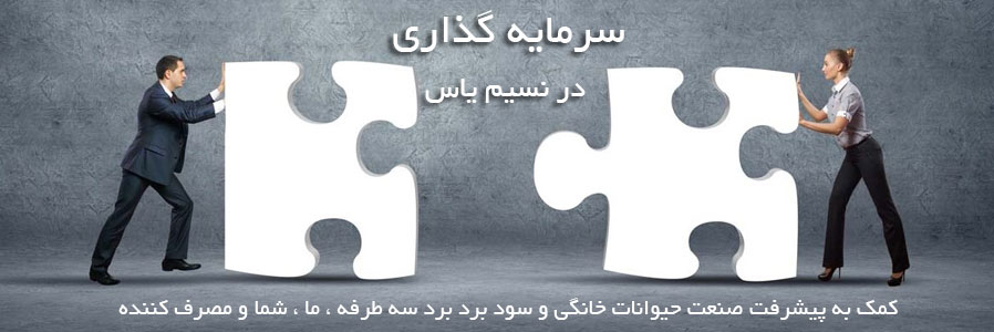 سرمایه گذاری در نسیم یاس