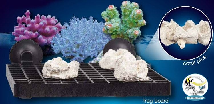 پایه فرگ مرجان کورال پین آکوا مدیک,Aqua Medic coral pins
