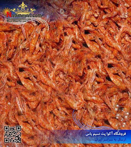 Ocean Free Ever Fresh Baby Red Shrimp