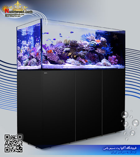 آکواریوم ریفر پنین سولا P650 رد سی Red sea