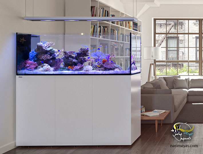 Red Sea Reefer Peninsula P650