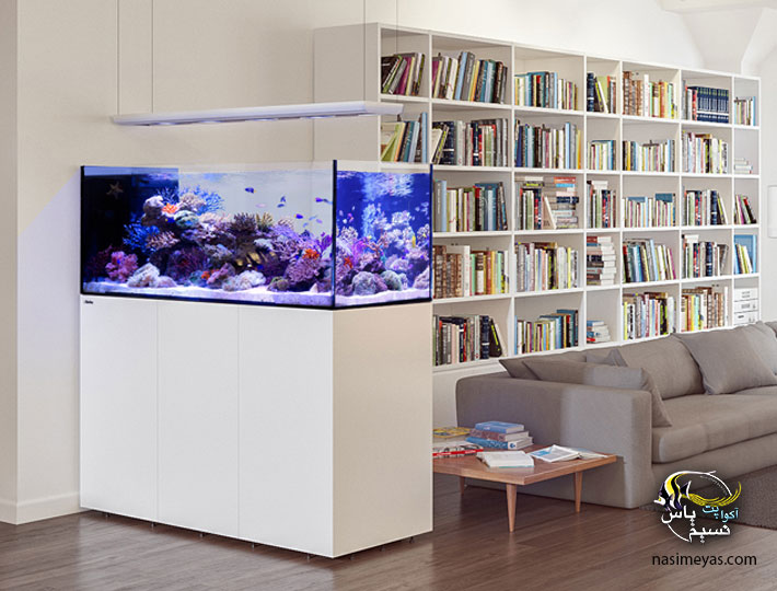 Red Sea Reefer Peninsula Systems P650
