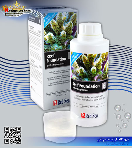 محلول عناصر پایه آب شور Reef Foundation B بطری 500 میل رد سی Red sea