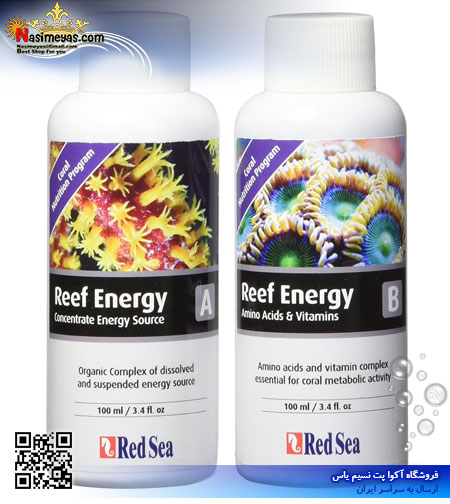 Red Sea Reef Energy B 500ml