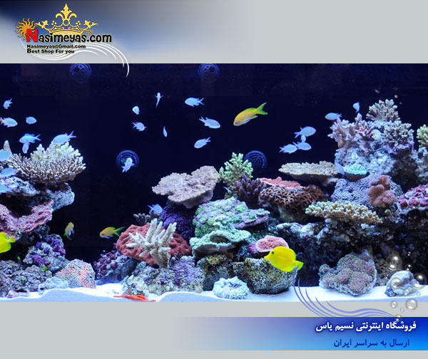 فروش آکواریوم آماده 500 لیتر مدل S500 رد سی redsea آلمان