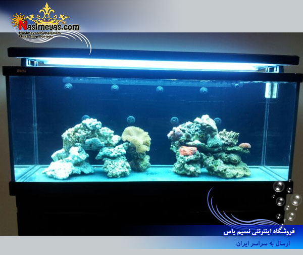 Red Sea MAX S-500 True REEF-SPEC® for a successful reef