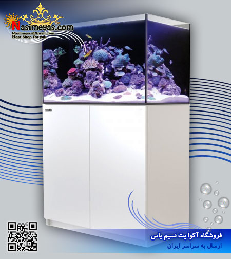 آکواریوم ریفر Reefer رد سی Red sea