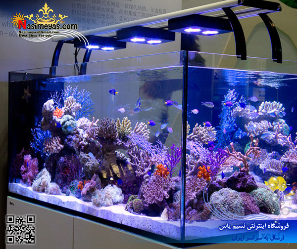 Red Sea reefer 350