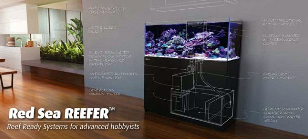 آکواریوم ریفر Reefer رد سی Red sea
