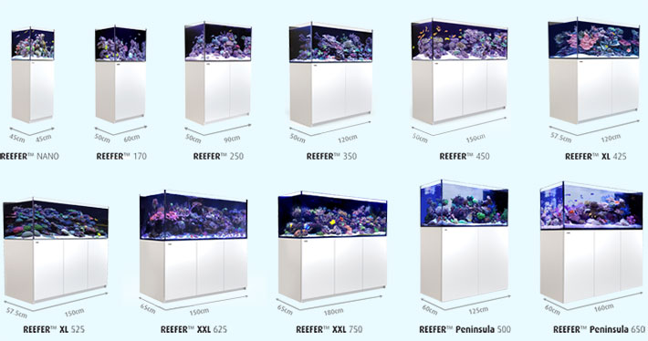 Red Sea reefer xl525