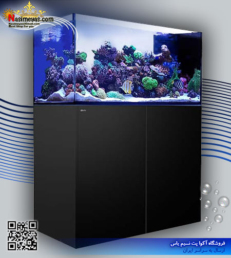 آکواریوم ریفر پنین سولا P500 رد سی Red sea