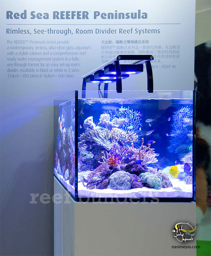 آکواریوم ریفر پنین سولا P500 رد سی Red sea