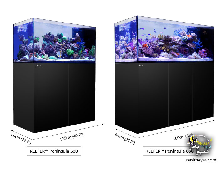 Red Sea Reefer Peninsula Systems P650