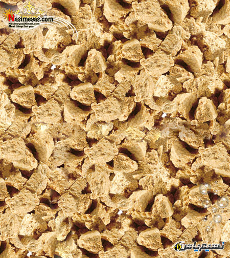Sera FD Artemia Shrimps Freeze Dried Treats