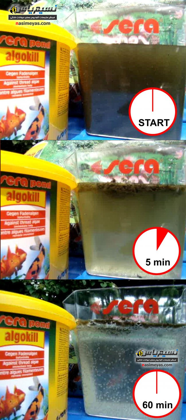 Sera pond algokill