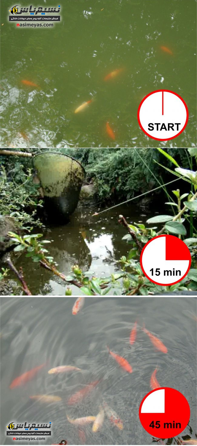 ضد جلبک حرفه ای و سریع Algokill سرا,Sera pond algokill