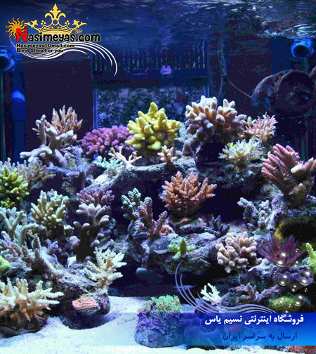 فروش نمکمخصوص sps شرکت بلو تریشور