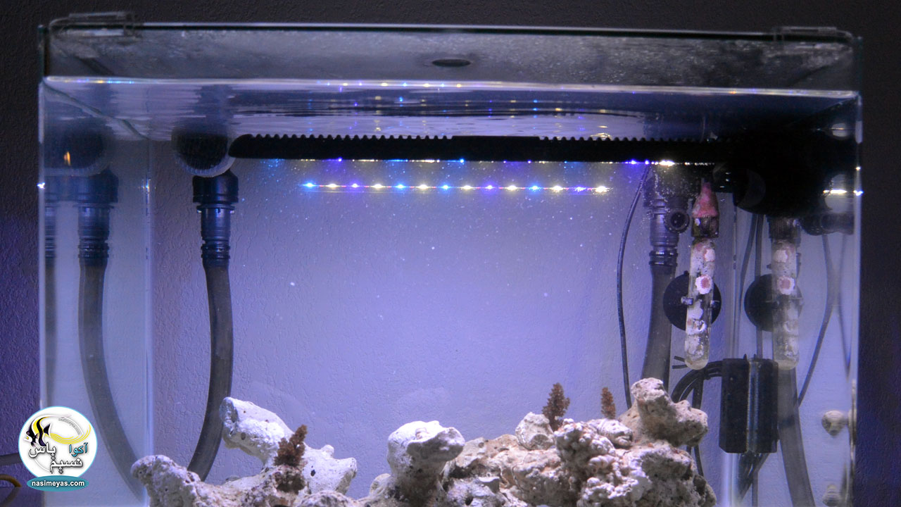 TUNZE LED full spectrum 8850