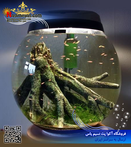 خرید تنگ حرفه ای با نور و سیستم تصفیه سری Bowl شرکت آکوا ال aquael لهستان