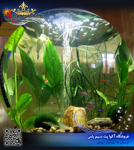 فروش تنگ حرفه ای با نور و سیستم تصفیه سری Bowl شرکت آکوا ال aquael لهستان