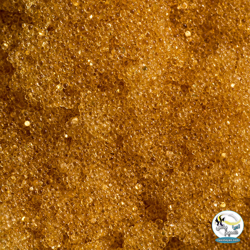 Aquaforest Demineralization Resin