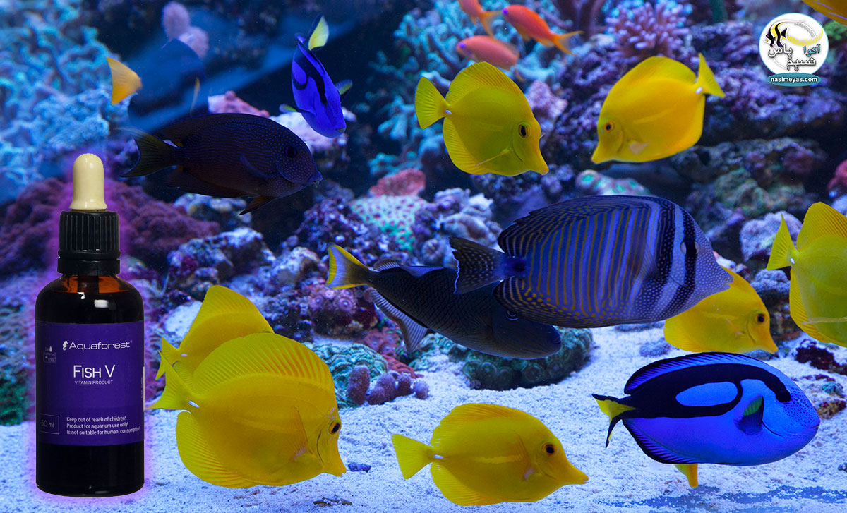 Aquaforest Fish V