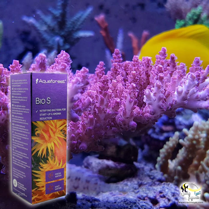 Aquaforest Bio s