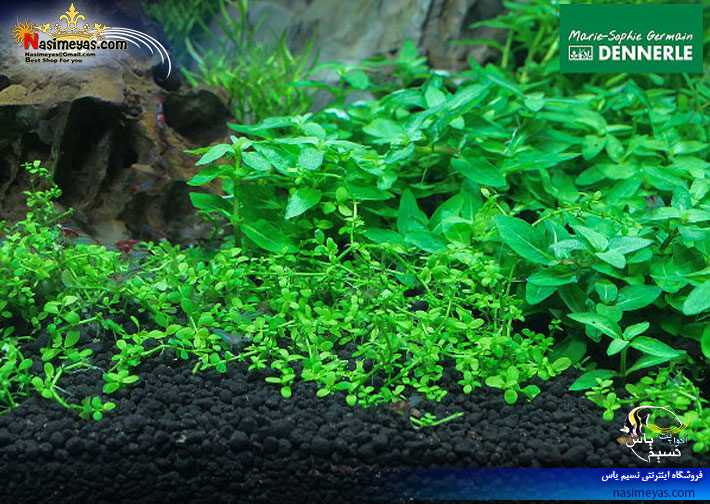 Dennerle Scaper's Soil 8L