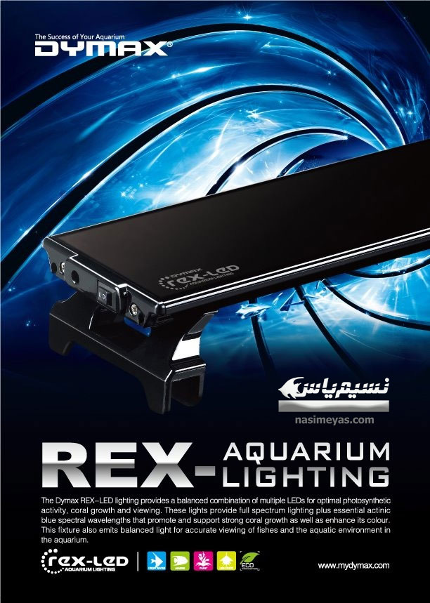DYMAX Rex-LED Lighting 180cm