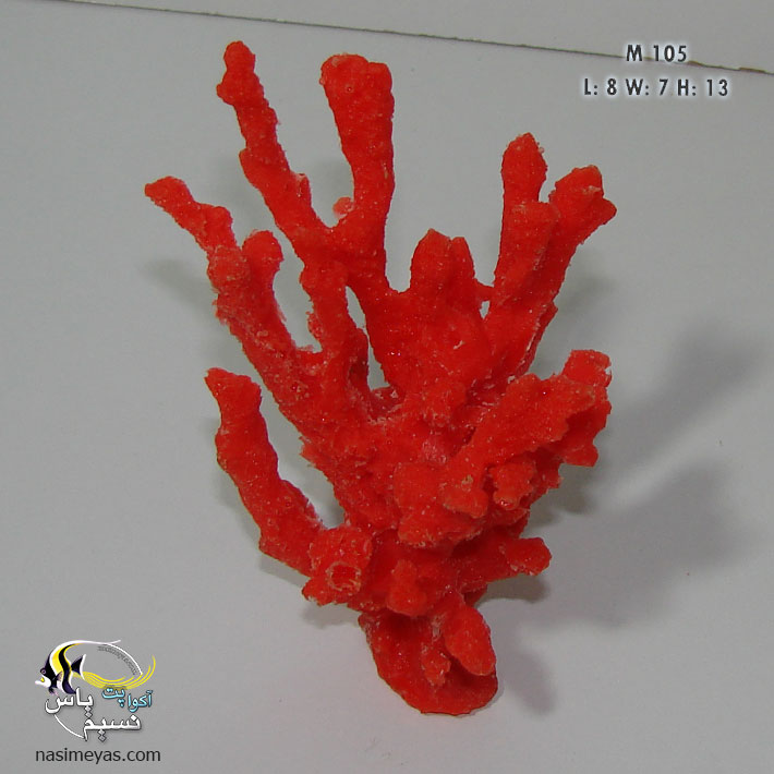 Branch Coral