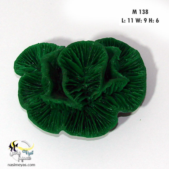دکور مرجان مصنوعی Brain Coral
