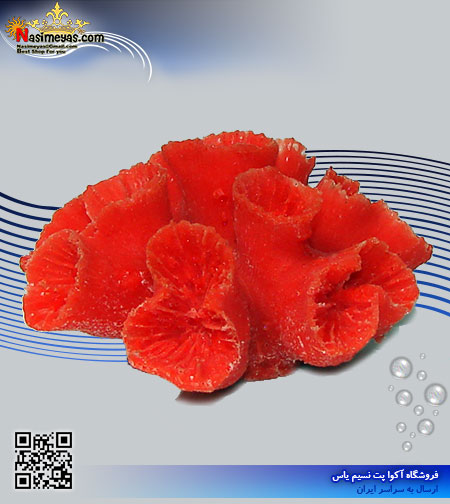 دکور مرجان مصنوعی کد 139 کورال کالکشن
