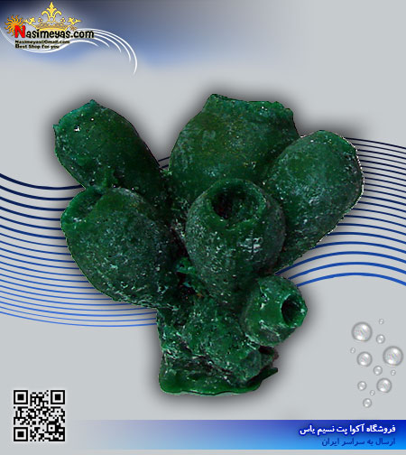 دکور مرجان مصنوعی کد 124 کورال کالکشن