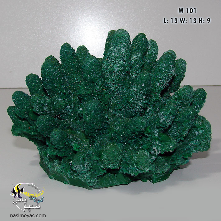 دکور مرجان مصنوعی کد 101 کورال کالکشن Coral Collection Gem Coral