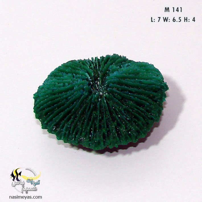 دکور مرجان مصنوعی Fungia Coral