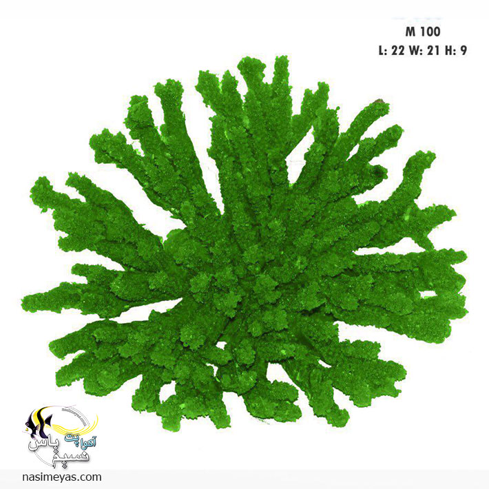 دکور مرجان مصنوعی آکروپورا Table Acropora Coral