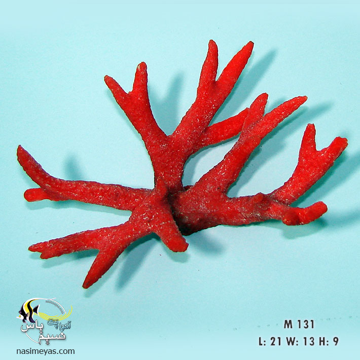دکور مرجان مصنوعی Staghorn Coral