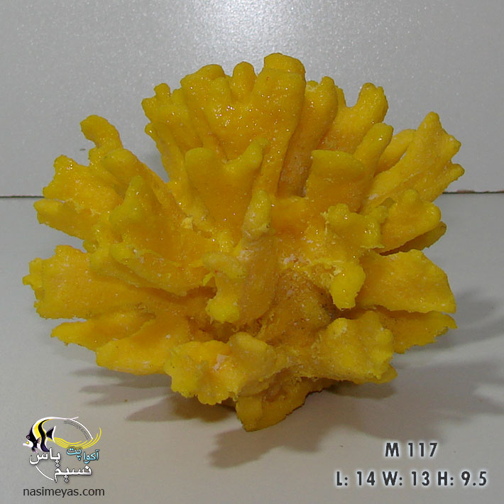 مرجان مصنوعی کولی فلاور Cauliflower