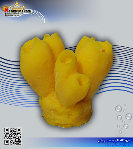 دکور مرجان مصنوعی کد 123 کورال کالکشن