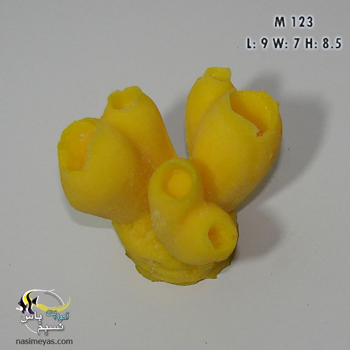 Sea Squirt