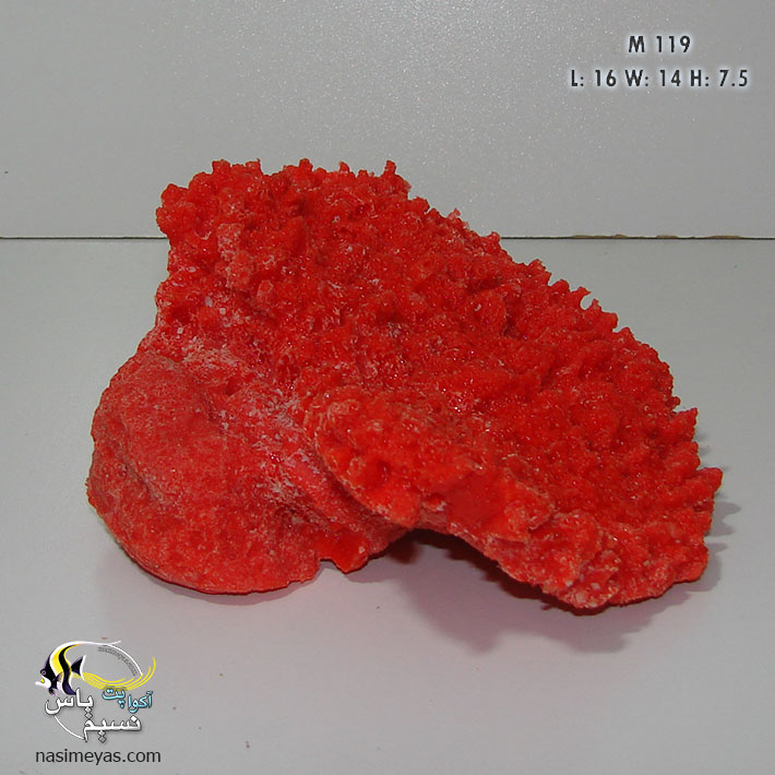 دکور مرجان Table Coral