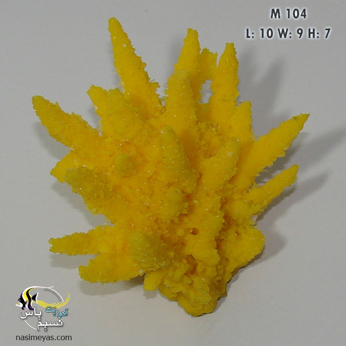 Coral Collection Gem Coral