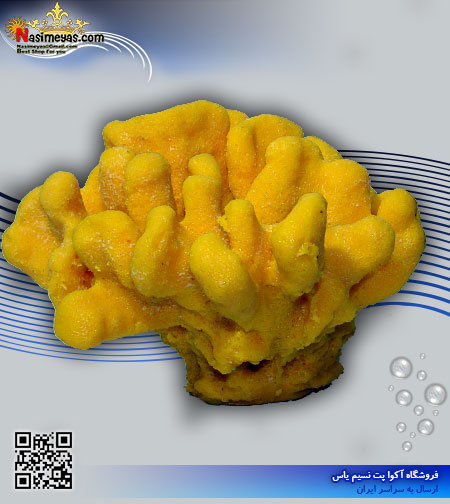 دکور مرجان مصنوعی کد 114 کورال کالکشن