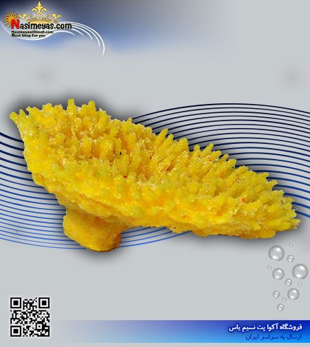 دکور مرجان مصنوعی کد 111 کورال کالکشن