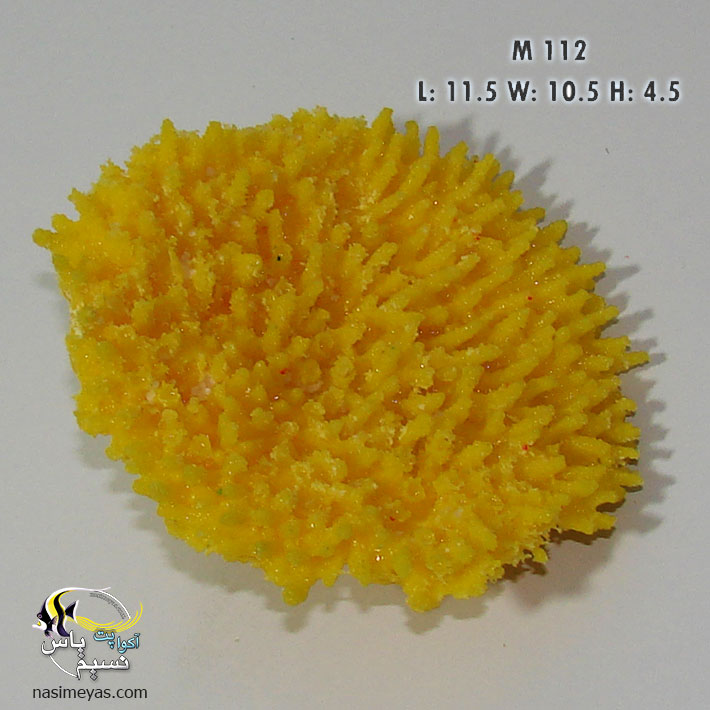 دکور مرجان مصنوعی Gem Coral