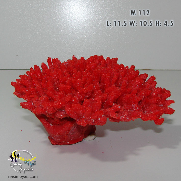 Gem Coral