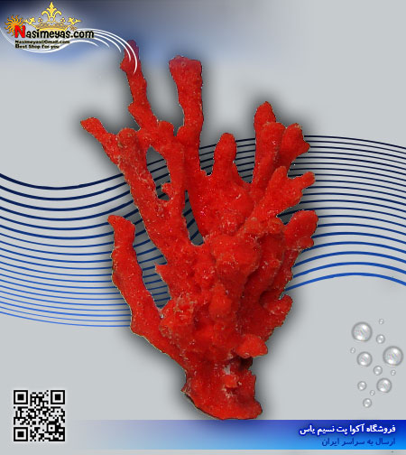 دکور مرجان مصنوعی کد 105 کورال کالکشن