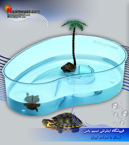 فروش مینی تراریوم برای لاک پشت فرپلاست