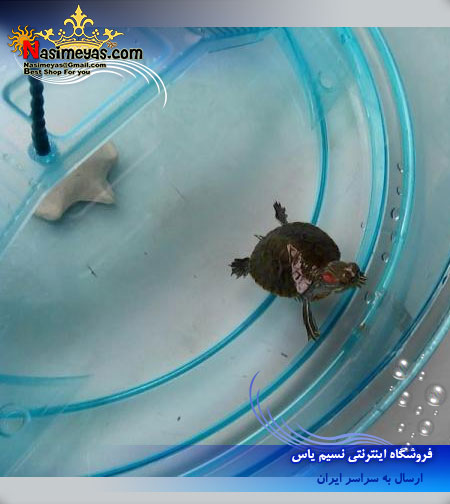 فروش تراریوم برای لاک پشت فرپلاست