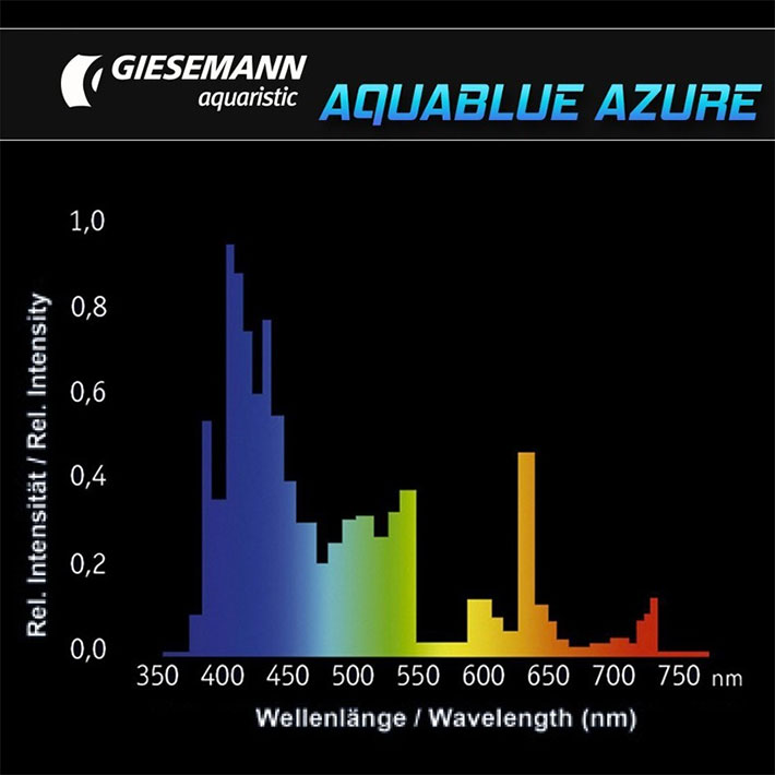 giesemann auablue azure ultralife 145cm